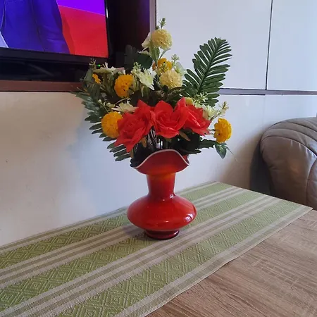 Dorcol Apartment